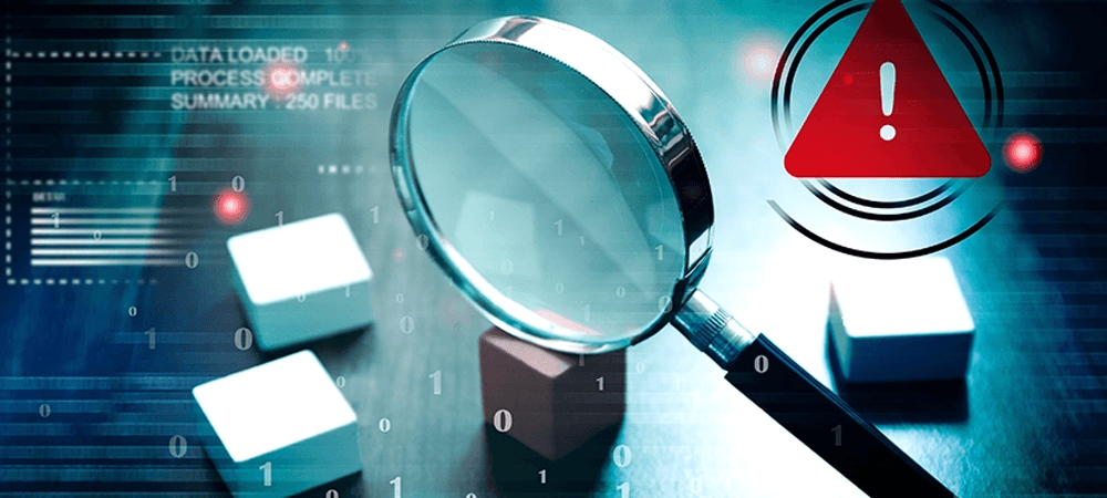 Vulnerability Assessment Service